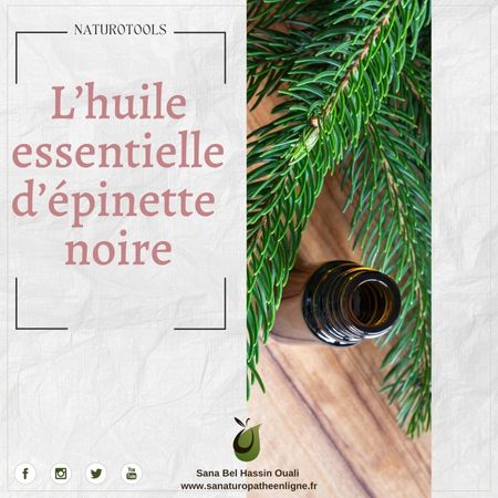 Huile Essentielle Epinette Noire Pure - Flacon - Origine France - Sans Marque